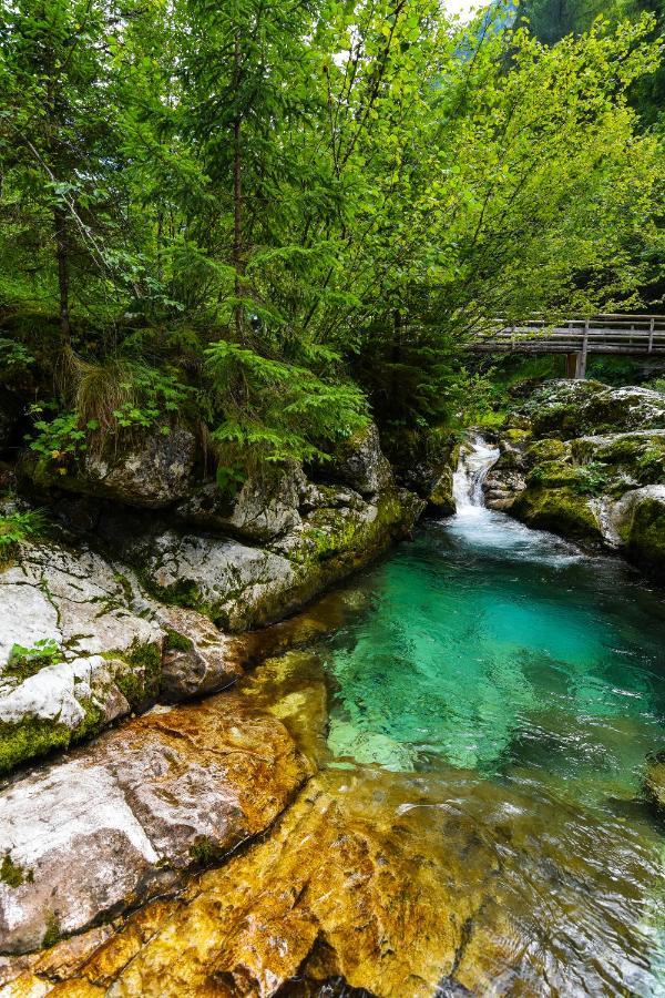 Julian Village Lepena Soča Εξωτερικό φωτογραφία